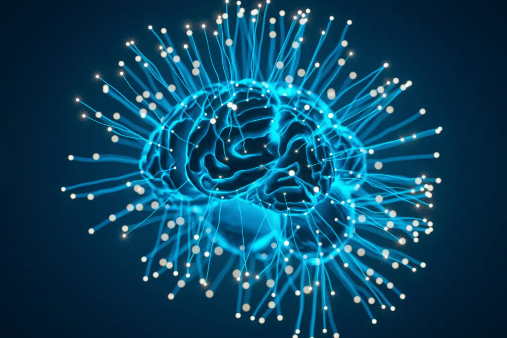 Brain with neural network connectio