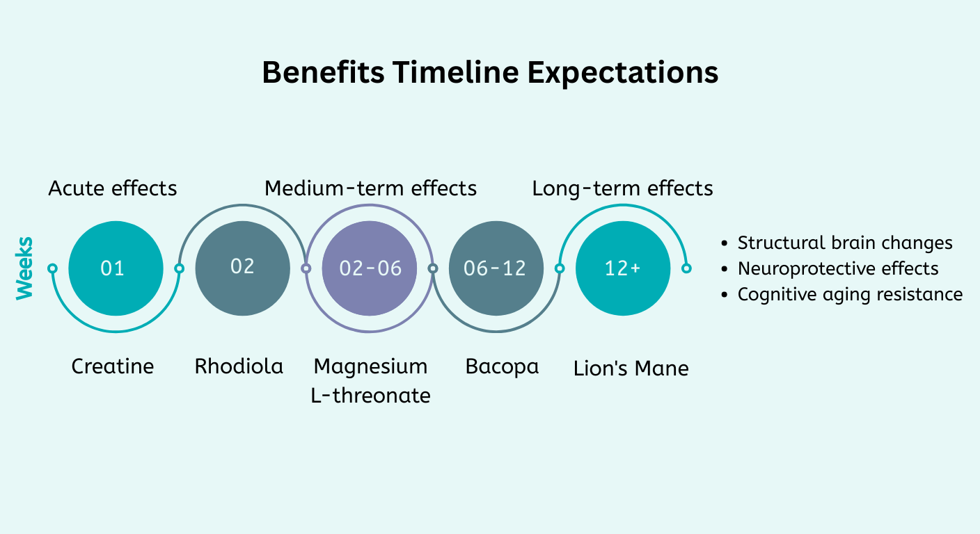 Nootropic Benefits Timeline